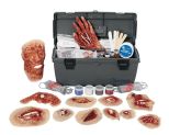 Xtreme Trauma Moulage Set